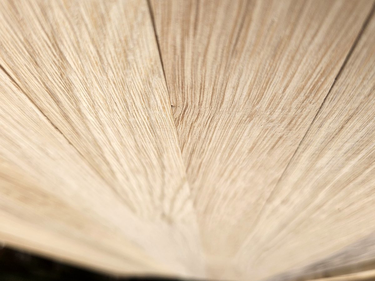 Close-up of quarter-sawn oak showing the silver medullary rays